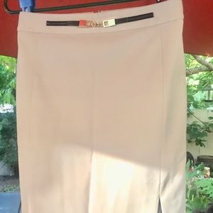 Beige Express Pencil Skirt